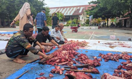 PERAYAAN HARI RAYA IDUL ADHA 1445 H MTSN 2 BANDA ACEH